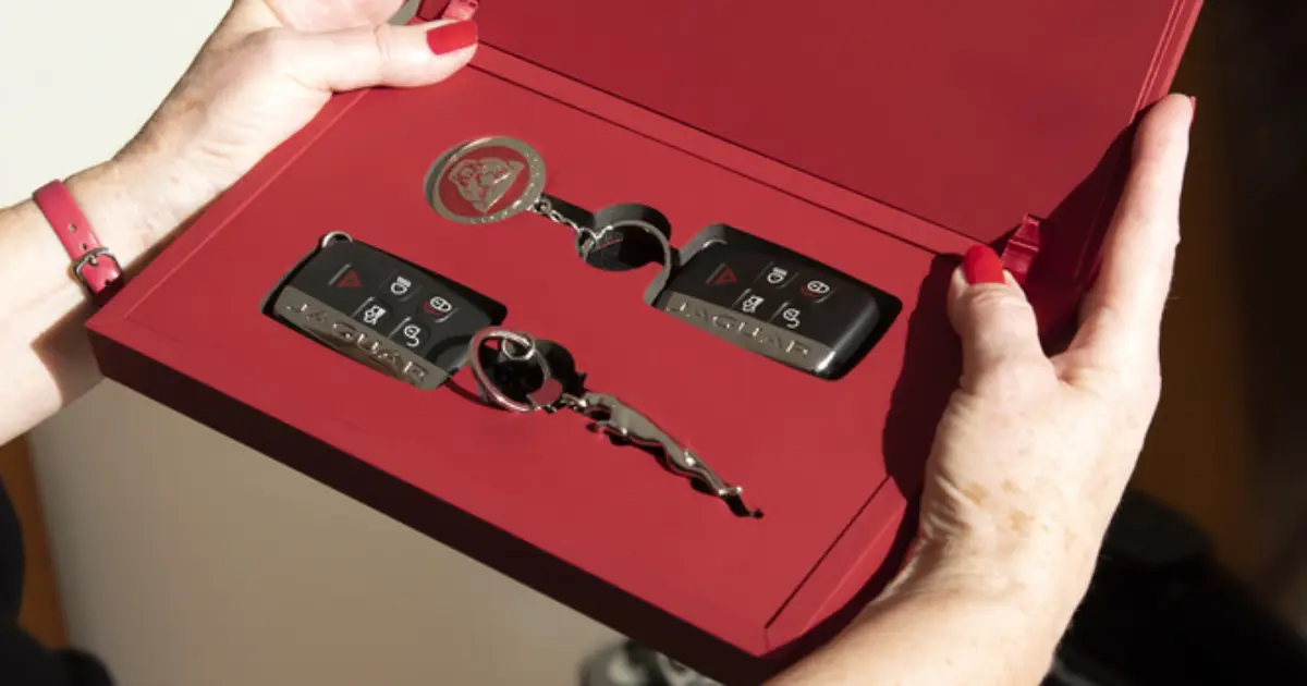set of jaguar car keys